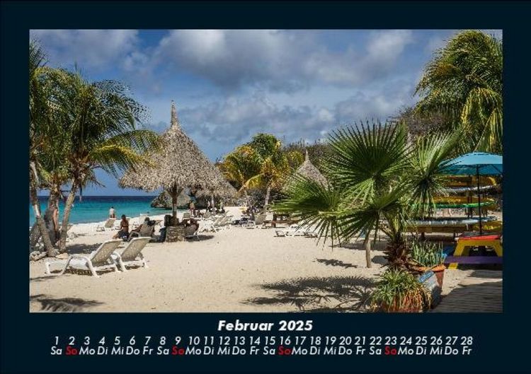 Produktbild: Palmentraum 2025 Fotokalender DIN A5
