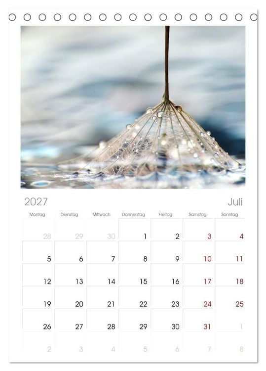 Produktbild: Tischplaner 2027 - Naturjuwel Pusteblume (A5 Tischkalender zum Aufstellen) CALVENDO