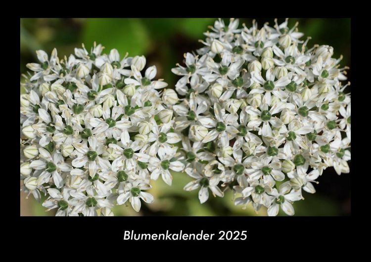Produktbild: Blumenkalender 2025 Fotokalender DIN A3