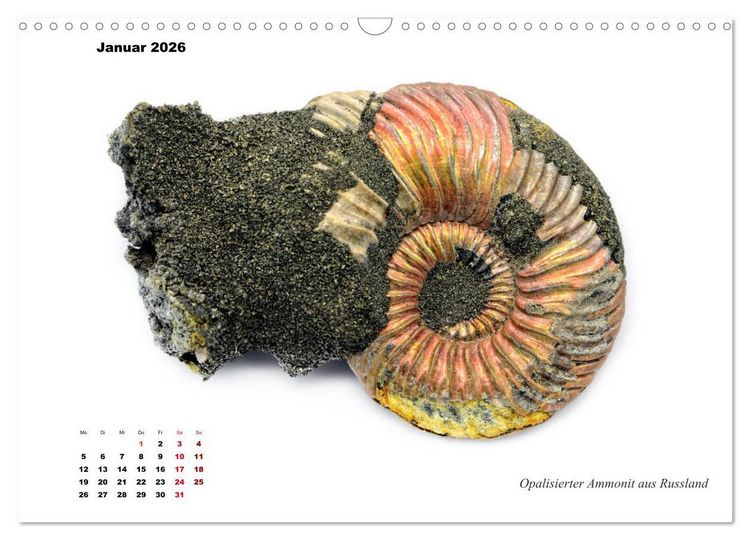 Produktbild: Fossilien - Ammoniten, Trilobiten, Erdgeschichte (Wandkalender 2026 DIN A3 quer), CALVENDO Monatskalender