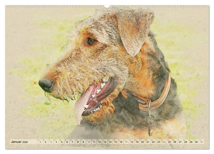 Produktbild: Airedale Terrier 2026 (hochwertiger Premium Wandkalender 2026 DIN A2 quer), Kunstdruck in Hochglanz