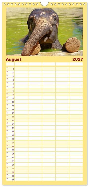 Produktbild: Familienplaner 2027 - Elefanten. Spa&szlig; am Wasser mit 5 Spalten (Wandkalender, 21 x 45 cm) CALVENDO