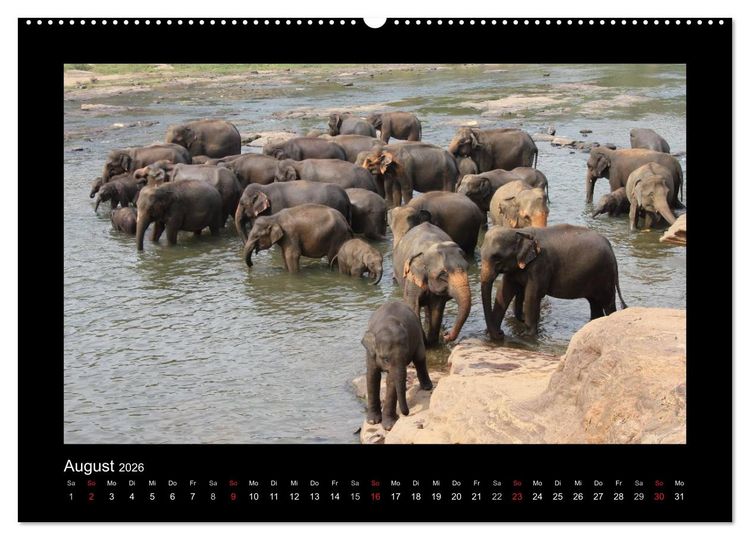 Produktbild: Sri Lanka Impressionen (hochwertiger Premium Wandkalender 2026 DIN A2 quer), Kunstdruck in Hochglanz