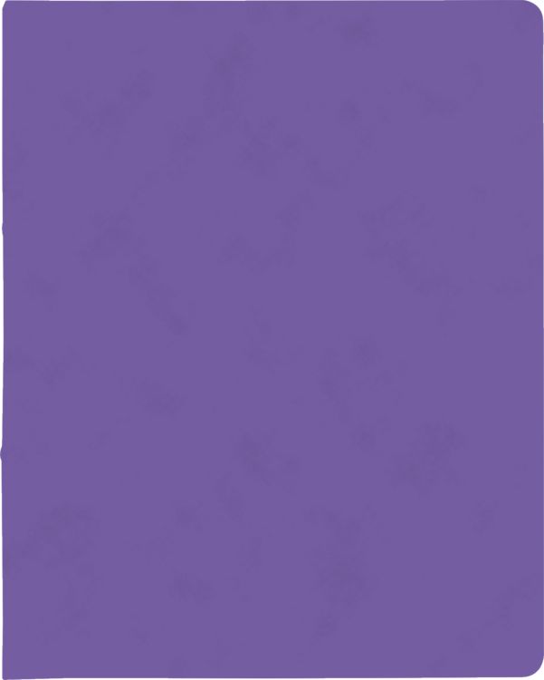 Produktbild: Brunnen Ringbuch FACT!plus &brvbar; A4, 2 Ringe, F&uuml;llh&ouml;he: 15 mm, violett