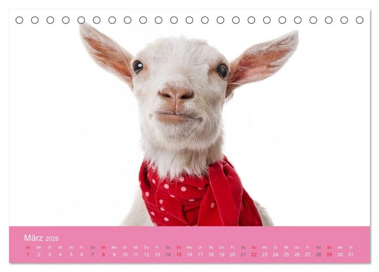 Produktbild: S&uuml;&szlig;e Tier-Babys! (Tischkalender 2026 DIN A5 quer), CALVENDO Monatskalender
