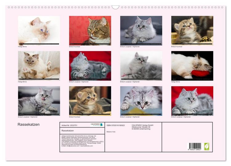 Produktbild: Rassekatzen (Wandkalender 2026 DIN A2 quer), CALVENDO Monatskalender