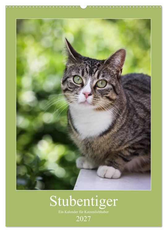 Produktbild: Stubentiger (Wandkalender 2027 DIN A2 hoch), CALVENDO Monatskalender