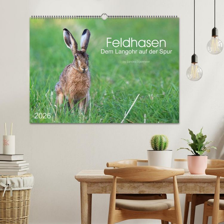Produktbild: Feldhasen - dem Langohr auf der Spur (Wandkalender 2026 DIN A2 quer), CALVENDO Monatskalender