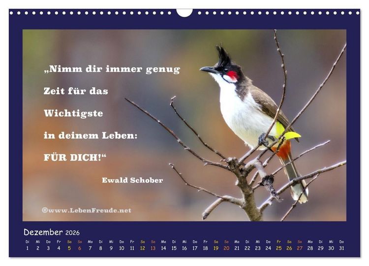 Produktbild: Bewusst leben und gl&uuml;cklich sein (Wandkalender 2026 DIN A3 quer), CALVENDO Monatskalender