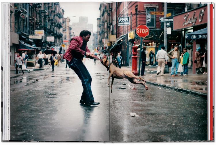 Produktbild: New York. Portrait of a City