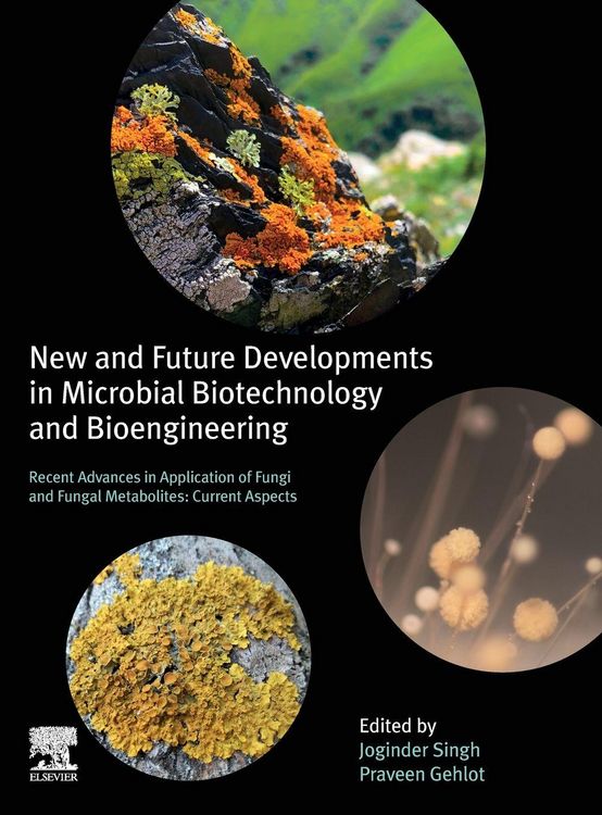 Produktbild: New and Future Developments in Microbial Biotechnology and Bioengineering