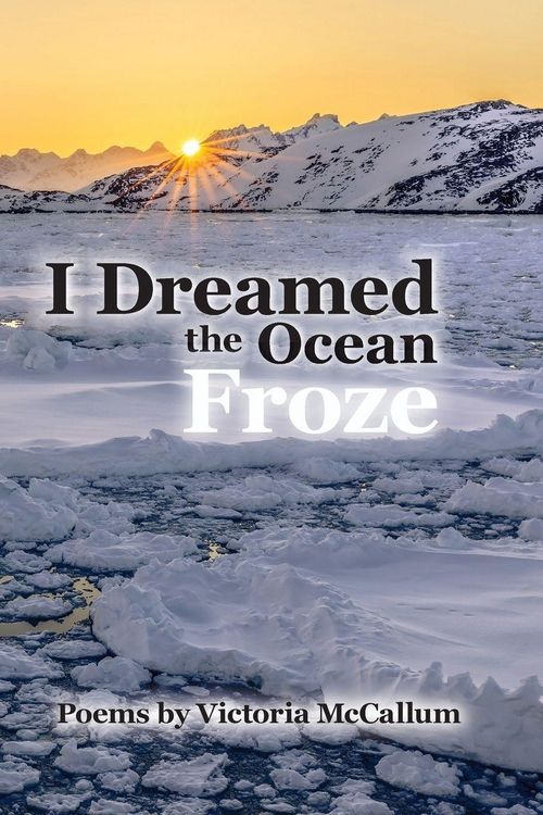 Produktbild: I Dreamed the Ocean Froze