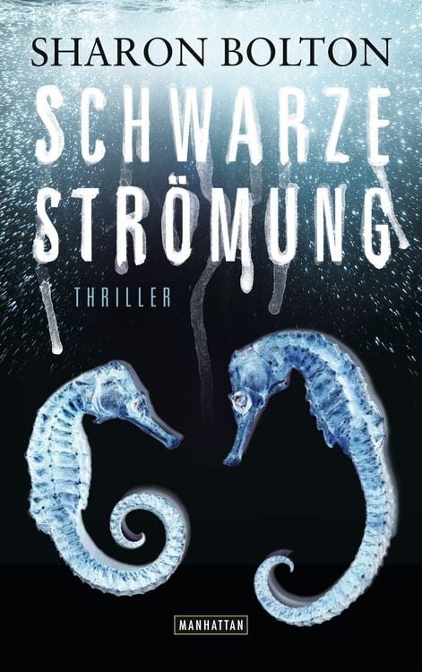 Produktbild: Schwarze Str&ouml;mung - Lacey Flint 4