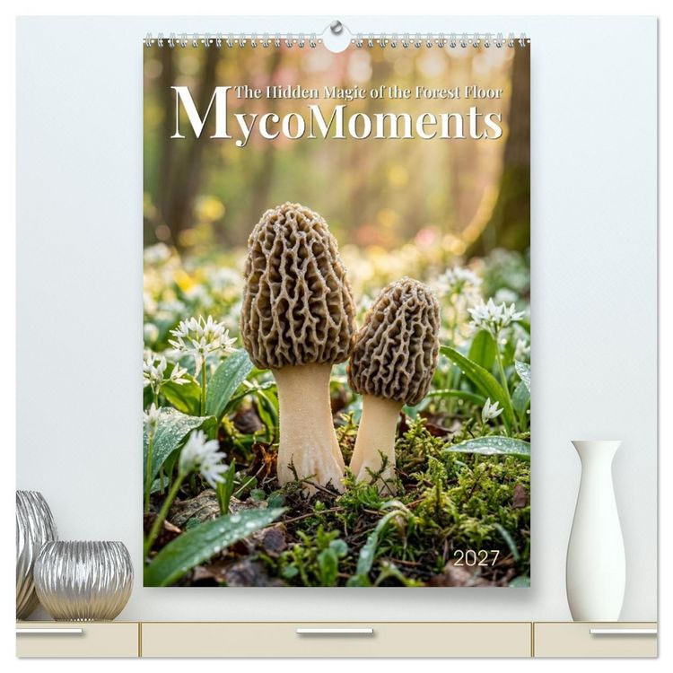 Produktbild: MycoMoments (High Quality Premium Wall Calendar 2027 DIN A2 portrait),CALVENDO 12 Month Wall Calendar