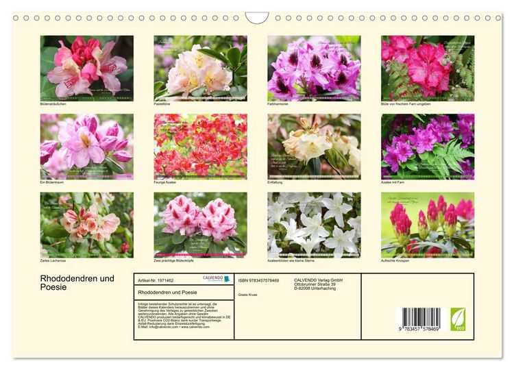 Produktbild: Rhododendren und Poesie (Wandkalender 2026 DIN A3 quer), CALVENDO Monatskalender