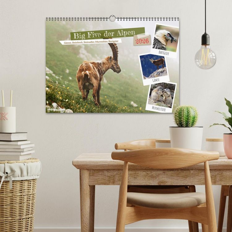 Produktbild: Big Five der Alpen G&auml;mse, Steinbock, Murmeltier, Steinadler, Bartgeier (Wandkalender 2026 DIN A3 quer), CALVENDO Monatskalender