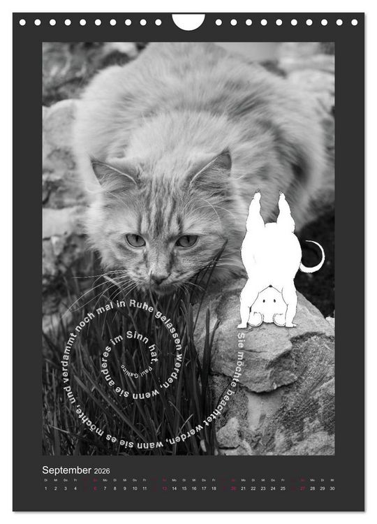 Produktbild: Katz & Maus (Wandkalender 2026 DIN A4 hoch), CALVENDO Monatskalender