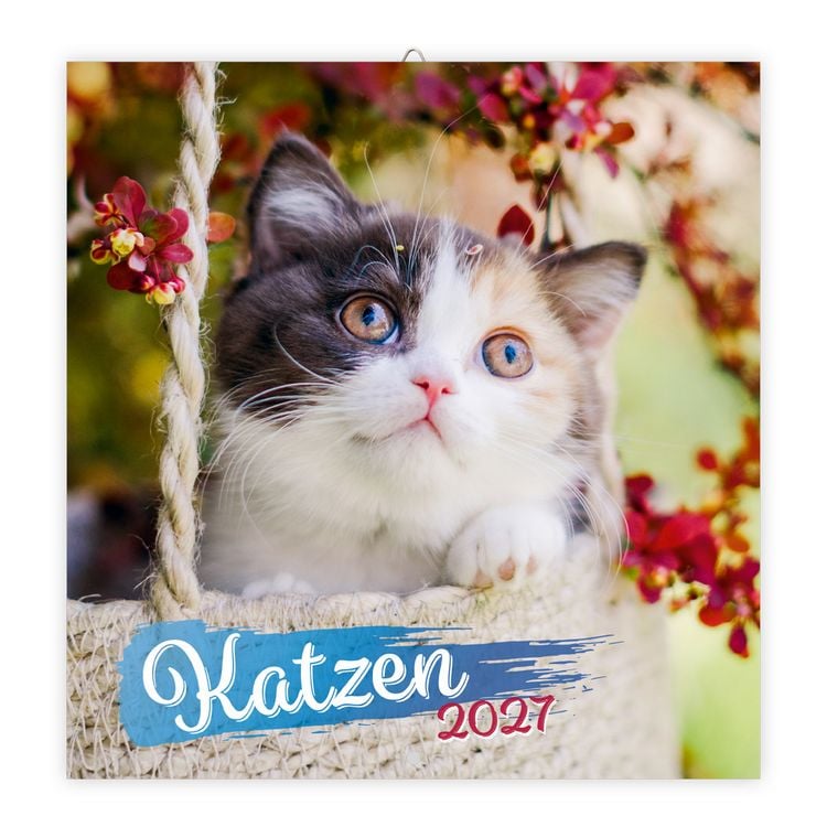 Produktbild: TR&Ouml;TSCH - Brosch&uuml;renkalender Katzen 2027
