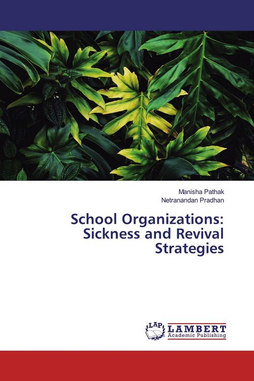 Produktbild: School Organizations: Sickness and Revival Strategies