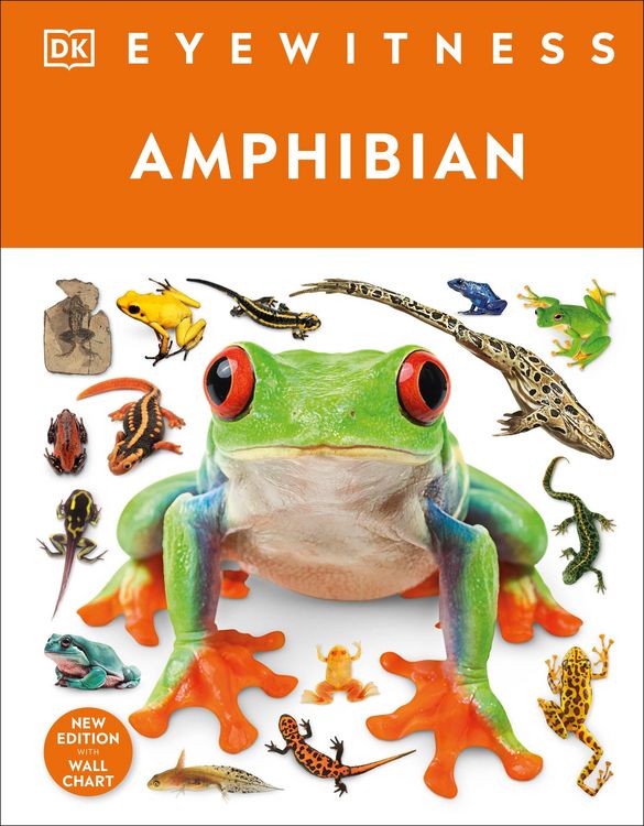 Produktbild: Eyewitness Amphibian