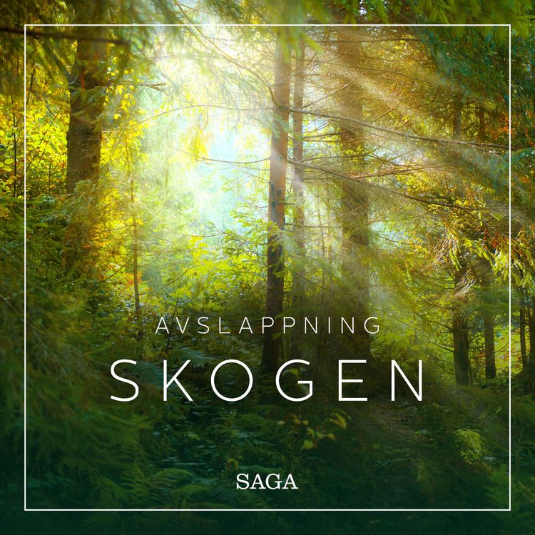 Produktbild: Avslappning - Skogen