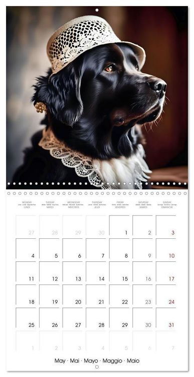 Produktbild: Kleemann, C: Dogs with matching hats (Wall Calendar 2026 12