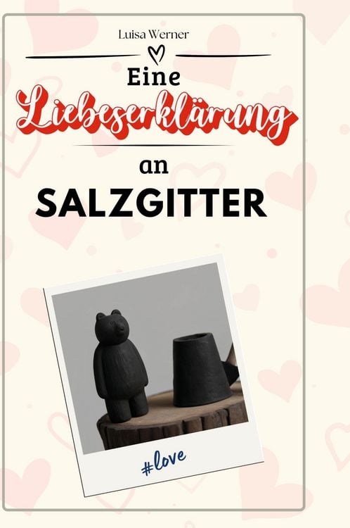 Produktbild: Eine Liebeserkl&auml;rung an Salzgitter