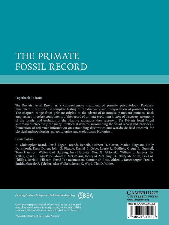 Produktbild: The Primate Fossil Record