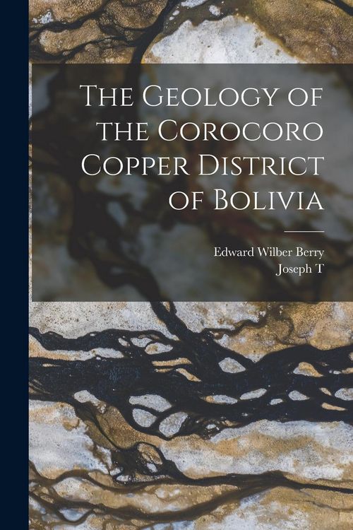 Produktbild: The Geology of the Corocoro Copper District of Bolivia