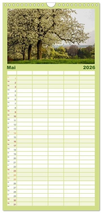 Produktbild: Familienplaner 2026 - Steink&auml;uze (Athene noctua) mit 5 Spalten (Wandkalender, 21 x 45 cm) CALVENDO