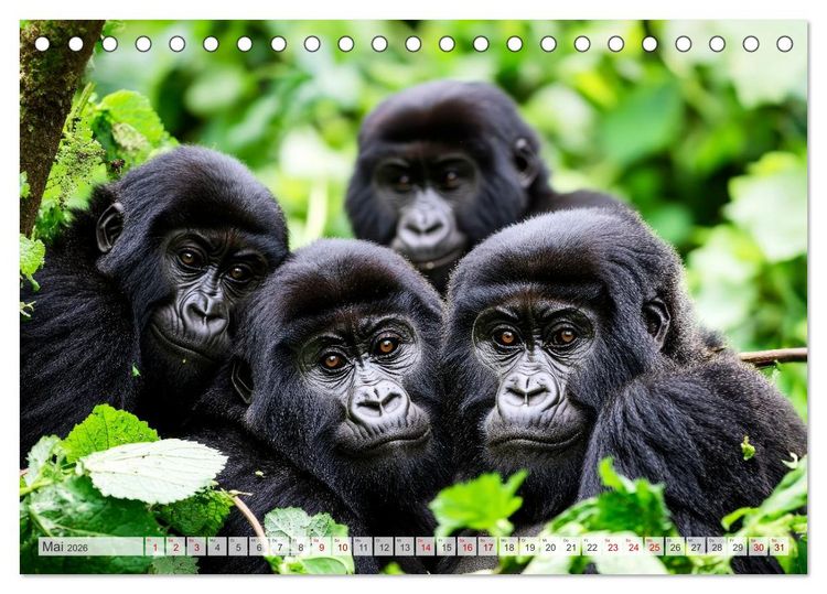 Produktbild: Bedrohte Tierwelt SCHATTEN DES VERSCHWINDENS (Tischkalender 2026 DIN A5 quer), CALVENDO Monatskalender