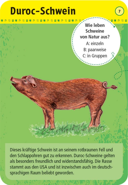 Produktbild: 50 Tiere auf dem Bauernhof
