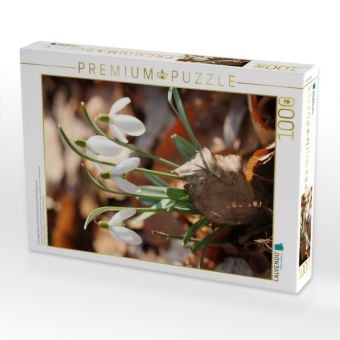 Produktbild: CALVENDO Puzzle Schneegl&ouml;ckchen mit trockenem Laub in der Fr&uuml;hlingssonne | 1000 Teile Lege-Gr&ouml;&szlig;e 64x48cm Foto-Puzzle f&uuml;r gl&uuml;ckliche Stunden