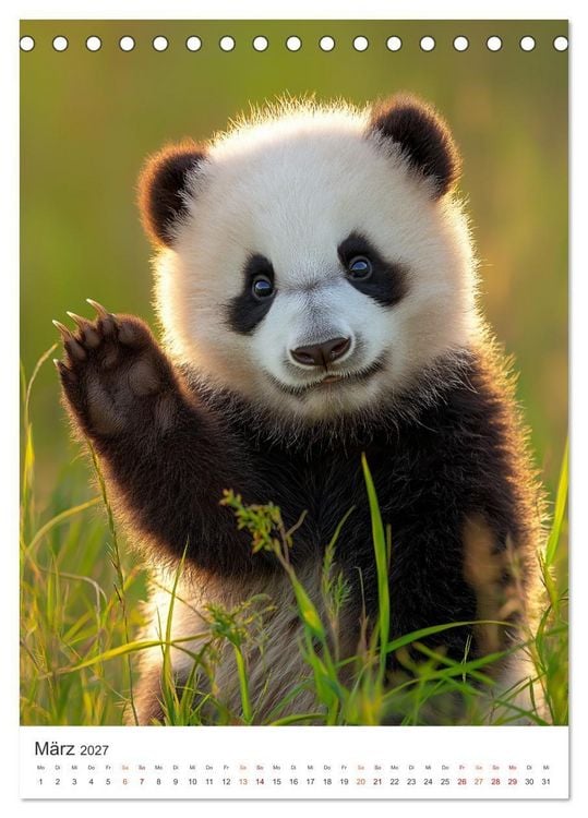 Produktbild: Panda Momente (Tischkalender 2027 DIN A5 hoch), CALVENDO Monatskalender