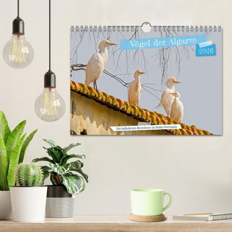 Produktbild: V&ouml;gel der Algarve (Wandkalender 2026 DIN A4 quer), CALVENDO Monatskalender