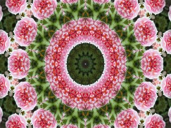 Produktbild: CALVENDO Puzzle Blumen Mandala - Kaleidoskop | 1000 Teile Lege-Gr&ouml;&szlig;e 64x48cm Foto-Puzzle f&uuml;r gl&uuml;ckliche Stunden