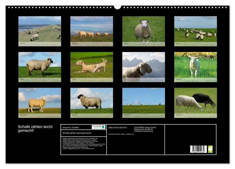 Produktbild: Schafe z&auml;hlen leicht gemacht! (Wandkalender 2026 DIN A2 quer), CALVENDO Monatskalender