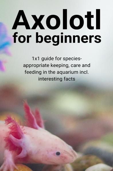 Produktbild: Axolotl for beginners