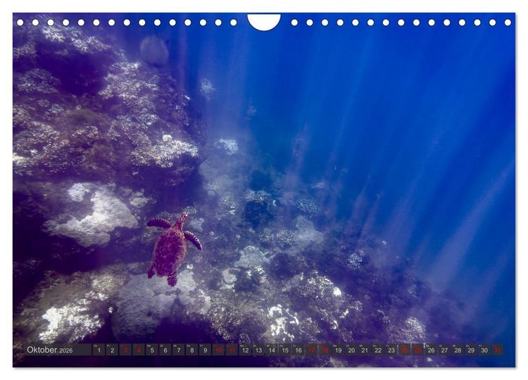 Produktbild: Tropenparadies zwischen Ozeanen Costa Rica (Wandkalender 2026 DIN A4 quer), CALVENDO Monatskalender
