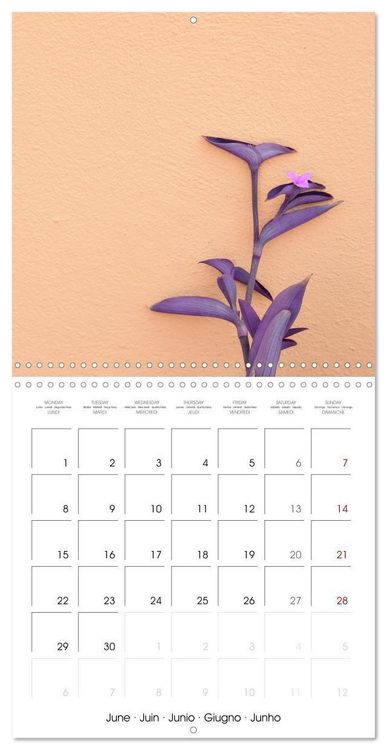 Produktbild: Leaves and flowers of Burano (Wall Calendar 2026 12 &times; 12 Inch) CALVENDO 12 Month Wall Calendar