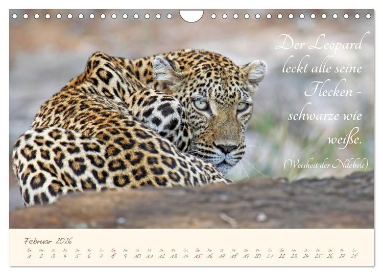 Produktbild: AFRIKA mit einem Hauch von Poesie (Wandkalender 2026 DIN A4 quer), CALVENDO Monatskalender
