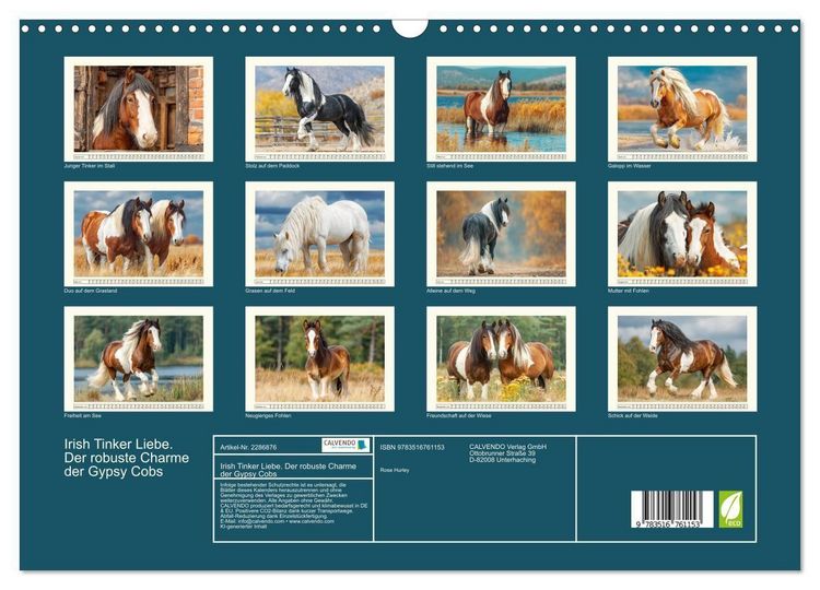 Produktbild: Irish Tinker Liebe. Der robuste Charme der Gypsy Cobs (Wandkalender 2027 DIN A3 quer), CALVENDO Monatskalender