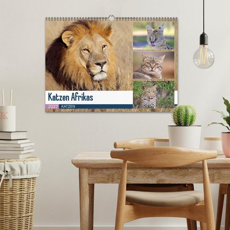 Produktbild: Katzen Afrikas (Wandkalender 2027 DIN A3 quer), CALVENDO Monatskalender