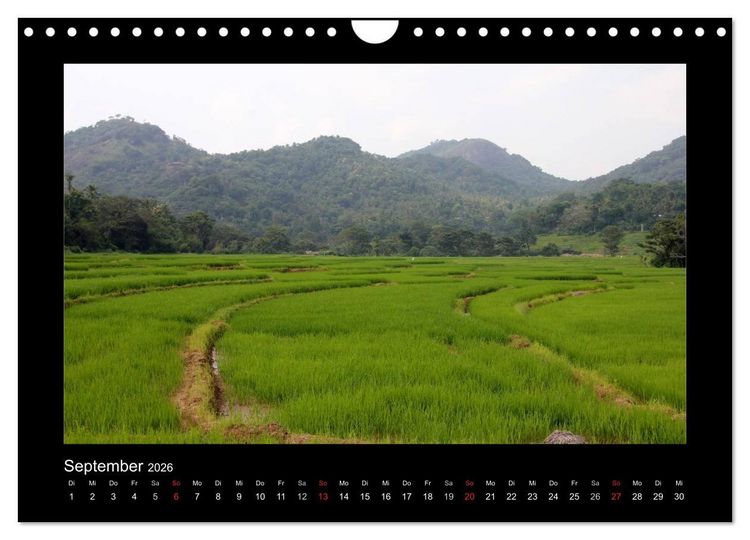 Produktbild: Sri Lanka Impressionen (Wandkalender 2026 DIN A4 quer), CALVENDO Monatskalender