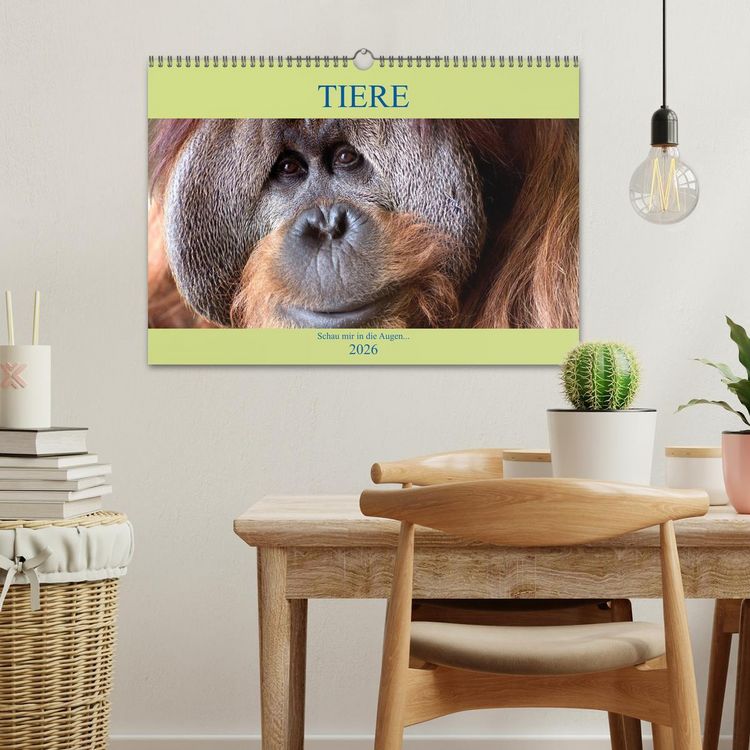 Produktbild: Tiere Schau mir in die Augen (Wandkalender 2026 DIN A3 quer), CALVENDO Monatskalender