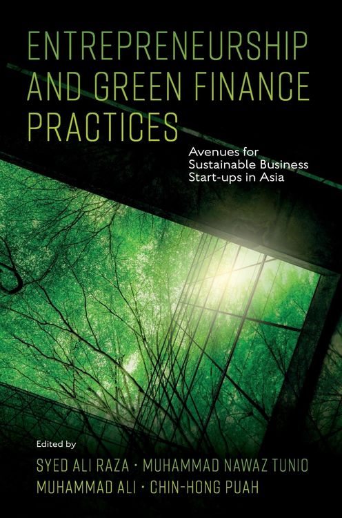 Produktbild: Entrepreneurship and Green Finance Practices