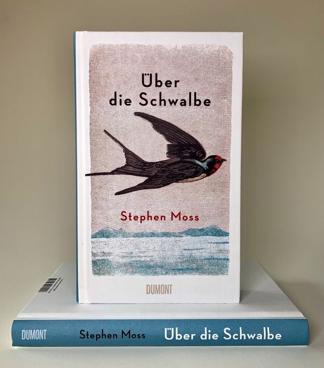 Produktbild: &Uuml;ber die Schwalbe