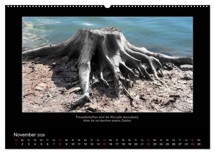 Produktbild: Freundschaft (Wandkalender 2026 DIN A2 quer), CALVENDO Monatskalender