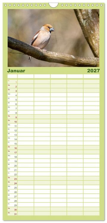 Produktbild: Familienplaner 2027 - Der Kernbei&szlig;er und seine gefiederten Gesellen mit 5 Spalten (Wandkalender, 21 x 45 cm) CALVENDO