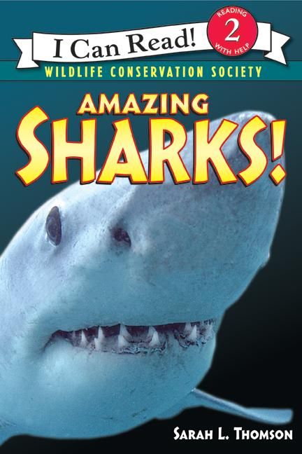 Produktbild: Amazing Sharks!